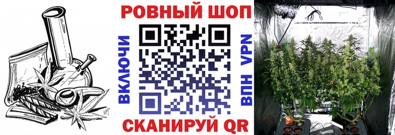 МЕФ Порхов