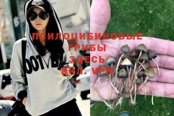 бутират Медвежьегорск