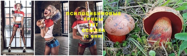 mdma Медногорск