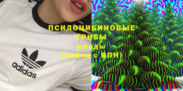 mdma Медногорск