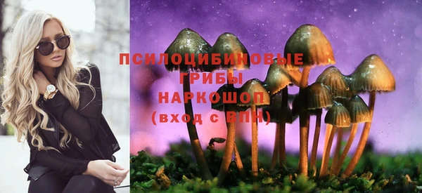 mdma Медногорск