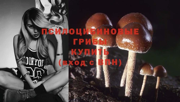 бутират Медвежьегорск