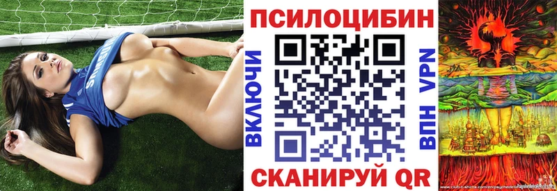 Галлюциногенные грибы ЛСД цена Порхов